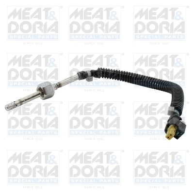 Sensor, exhaust gas temperature